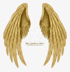 Gold Angel Wings Png Image Download - Golden Angel Wings Png