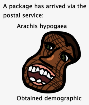 Quantity Of Legumesdeez Nuts - Facebook