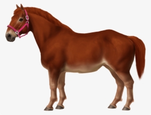 Belgian Pony - Cloverleaf Breyer