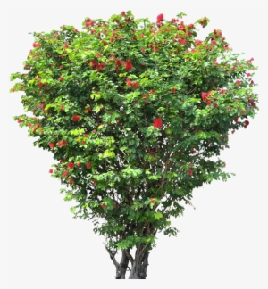 Artificial Flower Trees - 670x1000 PNG Download - PNGkit