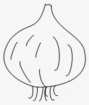 Drawing Vegetable Onion Svg Transparent Library - Line Art