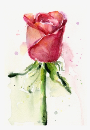 Bleed Area May Not Be Visible - Rose Watercolor