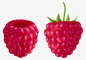 Raspberry Clip Art