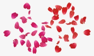 Rose Leaves, Png Tumblr, Adobe Photoshop - Draw A Rose Petal