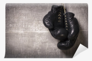 Boxing Glove
