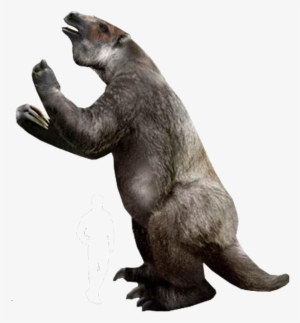 Sloth Png Free Hd Sloth Transparent Image Pngkit - ground sloth roblox