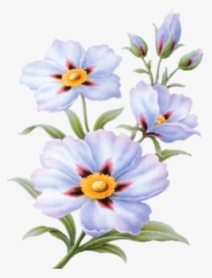 Картинки Цветы Png,gif - Painting