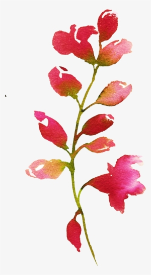 H712 - Beardtongue