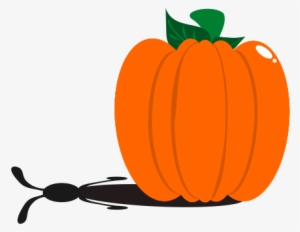 How To Set Use Rabbit Pumpkin Clipart
