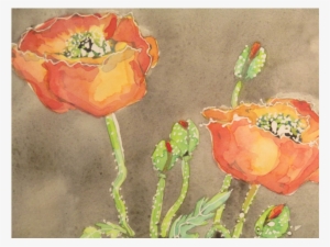 Golden Poppies By Katalin Ehling - Poppy