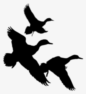 Flying Black Ducks - Duck Hunting Clipart Black And White