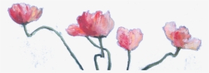 Tulip Transparent Watercolor - Watercolor Paint