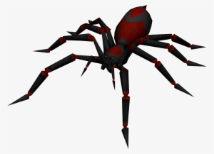 Spider Transparent Background Png - Poisonous Spider Png