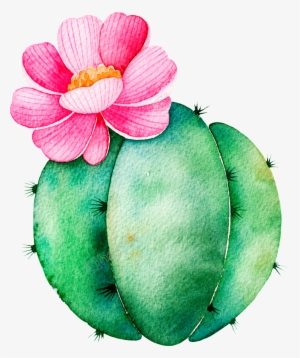 Download Cactus Png Free Hd Cactus Transparent Image Page 4 Pngkit