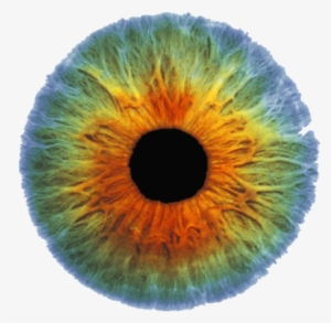 Real Eyes Png - Silver Plated 18" Chain And Pendant Necklace