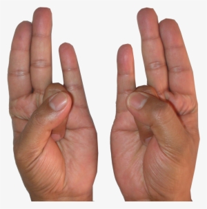 Increases The Agni Element Within The Body