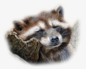 1386130389374 - Colored Pencil