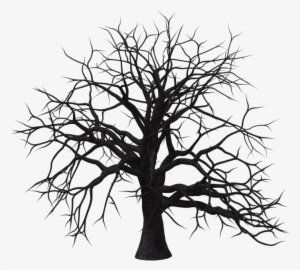 Old Tree Transparent Background Png - Silhouette