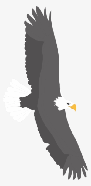Soaring Bald Eagle Clip Art - Eagle