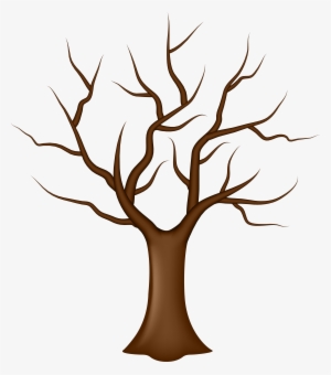 Tree Without Leaves Png Clip Art