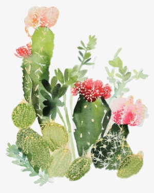 Nopales - Cactus Watercolor Print