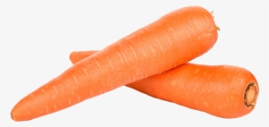About - Carrot With White Background