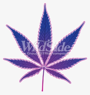 Pot Leaf - Neon - Marijuana Pot Leaf