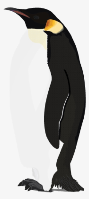 Penguin Png Picture - Transparent Background Penguin Png