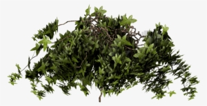 Png Royalty Free By Pixeltwist On Deviantart - Bush Png