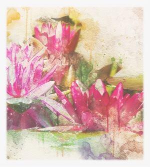 2018 03 04 Oos Image - Sacred Lotus