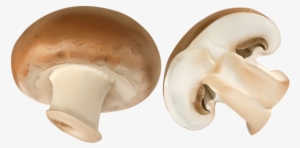 Sliced Brown Mushroom Png Clip Art Image - Champignon Mushroom