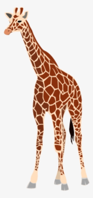 Giraffe Png - Giraffe Arabic Word