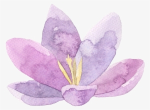Watercolor Flower Theme - Webix