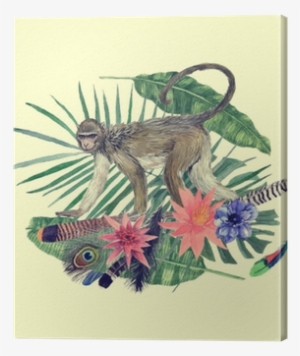 Watercolor Hand Drawn Illustration With Monkey, Feathers, - Watercolor Painting