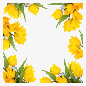 Yellow Flower Border Png
