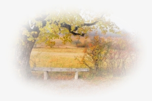 Wednesday, 22 August - Paysage D Automne