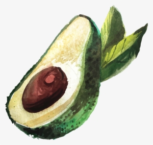Aguacate Png Dibujo