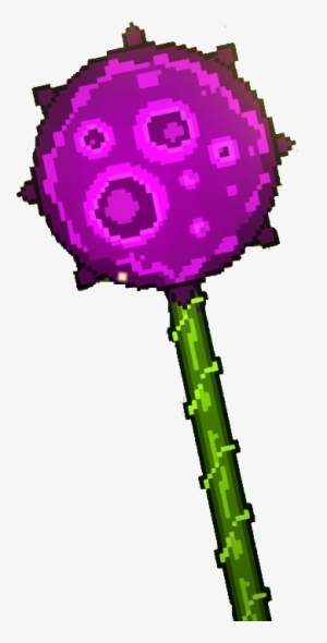 Jungle Vine - January 20