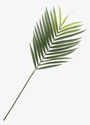 Faux Phoenix Palm Leaf