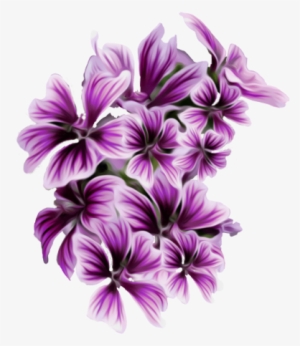 Purple Flower Png - Purple Flower Png Png