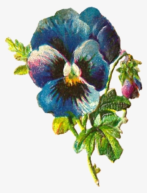 Blue Flower Clipart Victorian - Pansy