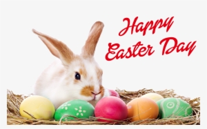 Happy Easter Bunny Png - Happy Easter Egg Png