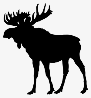Moose Png Free Hd Moose Transparent Image Pngkit - bull moose party roblox