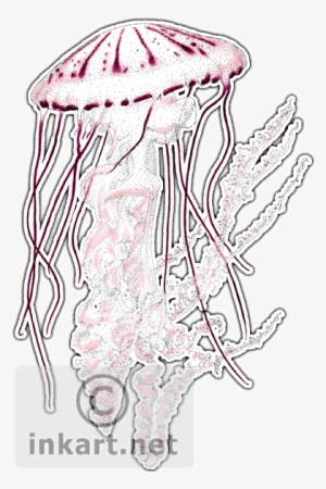Purple - Purple Striped Jellyfish