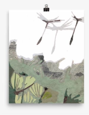 Dandelion Puffs - Dandelion