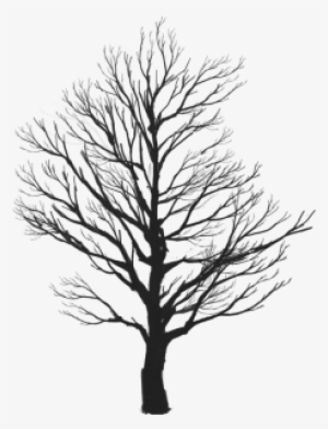 Tree Vector Clipart, Tree Vector Clipart, Tree Clipart, - Enjoy Life Smile Quotes