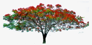 Flower Tree Image Hd