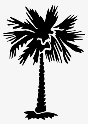 Palmetto Tree Png