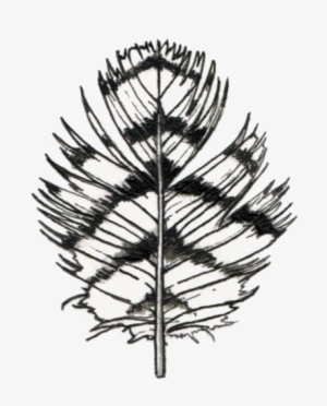 Owl Feather - Watercolor Feather Set Of 8 Temporary Tattoos