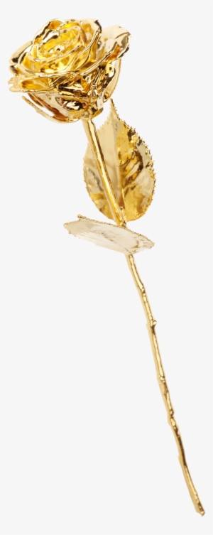 The Golden Rose - Rosa Dorada